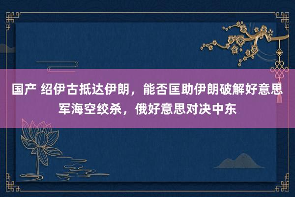 国产 绍伊古抵达伊朗，能否匡助伊朗破解好意思军海空绞杀，俄好意思对决中东