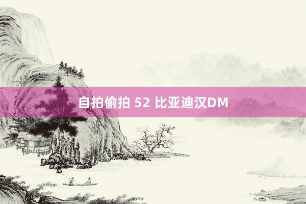 自拍偷拍 52 比亚迪汉DM