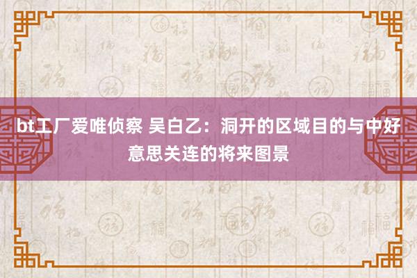 bt工厂爱唯侦察 吴白乙：洞开的区域目的与中好意思关连的将来图景