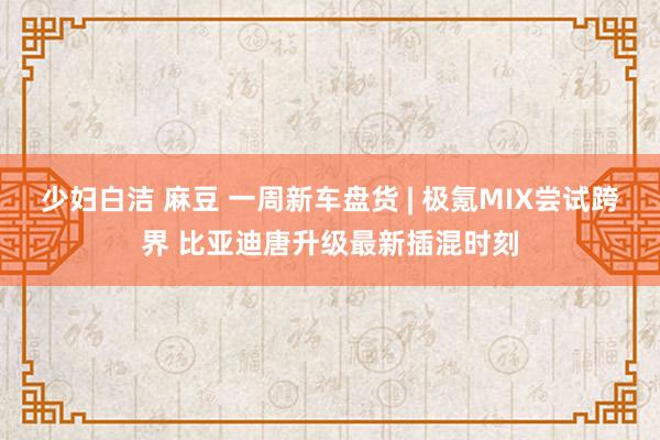 少妇白洁 麻豆 一周新车盘货 | 极氪MIX尝试跨界 比亚迪唐升级最新插混时刻