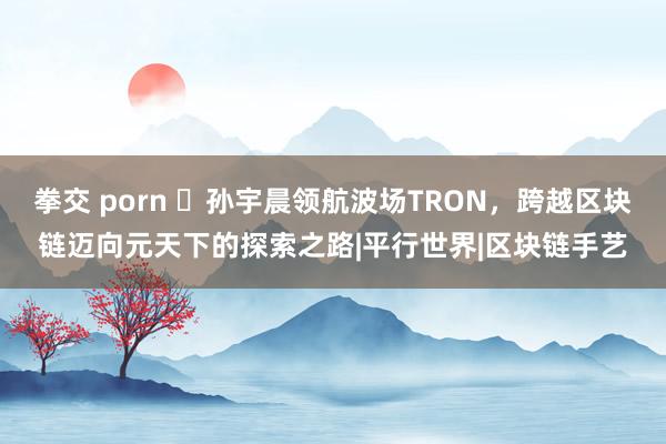 拳交 porn ​孙宇晨领航波场TRON，跨越区块链迈向元天下的探索之路|平行世界|区块链手艺