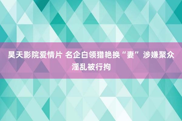 昊天影院爱情片 名企白领猎艳换“妻” 涉嫌聚众淫乱被行拘