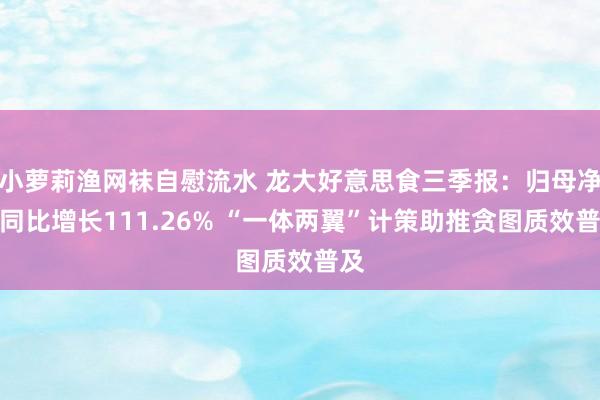 小萝莉渔网袜自慰流水 龙大好意思食三季报：归母净利同比增长111.26% “一体两翼”计策助推贪图质效普及